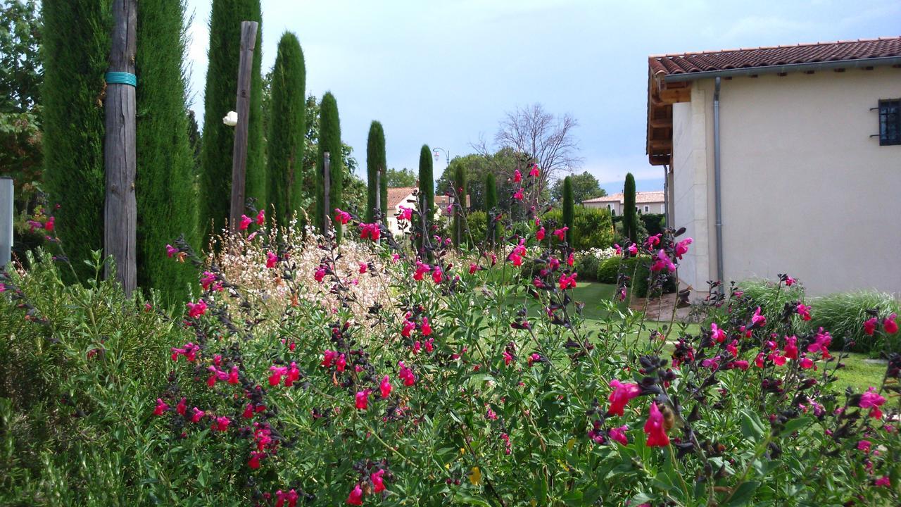 Maison D'Hotes Le Pre Gourmand - Adults Only Eyragues Εξωτερικό φωτογραφία